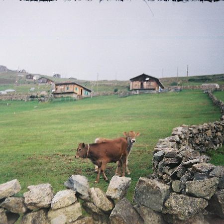 Atakoey Apart Caykara Esterno foto